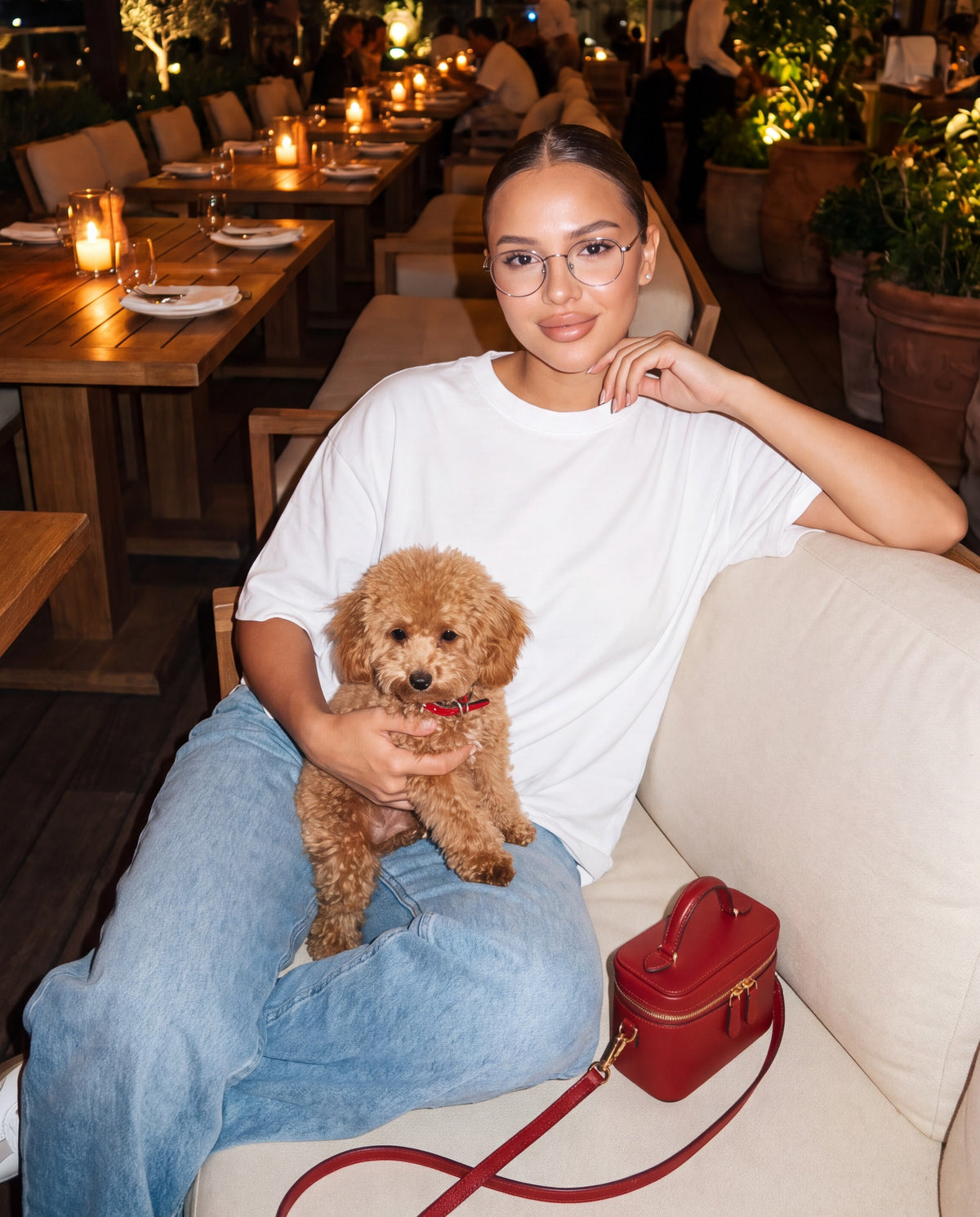 Terrasse & Caniche - exemple de photo générée par IA avec ce prompt
